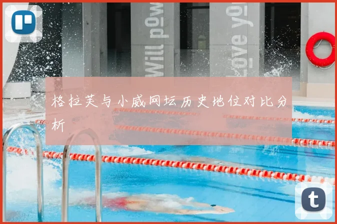 格拉芙与小威网坛历史地位对比分析