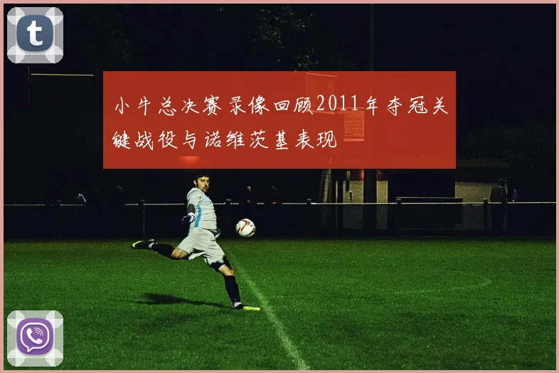 小牛总决赛录像回顾2011年夺冠关键战役与诺维茨基表现