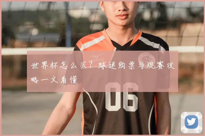 世界杯怎么买?球迷购票与观赛攻略一文看懂