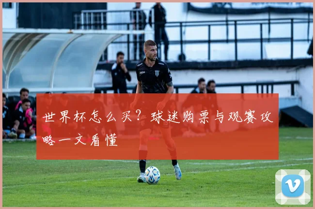 世界杯怎么买?球迷购票与观赛攻略一文看懂