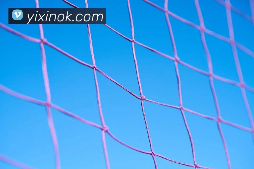 华体育会登录网官网品牌故事