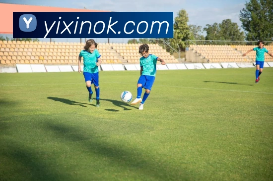 华体育会登录网官网服务体系